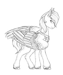 Size: 905x1080 | Tagged: safe, artist:nightskrill, oc, oc only, pegasus, pony, ear fluff, female, jewelry, mare, monochrome, necklace, sketch, solo, unshorn fetlocks