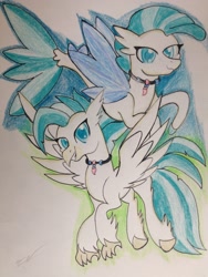 Size: 2448x3264 | Tagged: safe, artist:luxiwind, terramar, classical hippogriff, hippogriff, seapony (g4), surf and/or turf, duality, high res, solo, traditional art