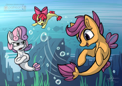 Size: 1280x905 | Tagged: safe, artist:calena, apple bloom, scootaloo, sweetie belle, seapony (g4), surf and/or turf, bubble, crossed hooves, cutie mark crusaders, grumpy belle, ocean, open mouth, sea-mcs, seaponified, seapony apple bloom, seapony scootaloo, seapony sweetie belle, signature, species swap, speedpaint available, underwater