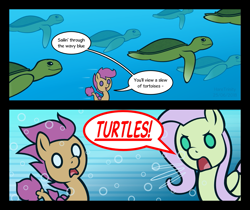 Size: 1069x896 | Tagged: safe, artist:haretrinity, fluttershy, scootaloo, pegasus, pony, seapony (g4), turtle, surf and/or turf, animal, sea turtle, seaponified, seapony scootaloo, species swap, underwater