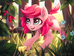 Size: 3306x2480 | Tagged: safe, artist:inowiseei, oc, oc only, oc:holivi, bird, chicken, earth pony, pony, chick, crouching, female, flower, food, mare, not pinkie pie, raspberry (food), solo