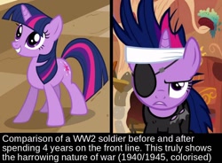 Size: 1124x827 | Tagged: safe, edit, edited screencap, screencap, twilight sparkle, it's about time, bandage, eyepatch, fake history, future twilight, meme, text, world war ii