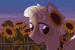 Size: 1452x973 | Tagged: safe, alternate version, artist:lothard juliet, oc, oc only, earth pony, pony, bust, fence, flower, flower in hair, male, neckerchief, night, portrait, solo, stallion, stars, sunflower