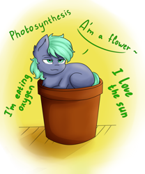 Size: 2500x3000 | Tagged: safe, artist:rskyfly, oc, oc only, earth pony, pony, lidded eyes, photosynthesis, pot, solo, ych result