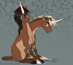 Size: 844x750 | Tagged: safe, artist:dementra369, oc, oc only, pony, unicorn, brothers, cloven hooves, conjoined, conjoined twins, duo, jewelry, leonine tail, male, multiple heads, patterned background, pendant, siblings, sitting, stallion, twin brothers, twins, two heads, yin-yang