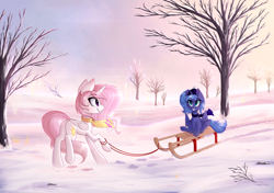 Size: 2700x1900 | Tagged: safe, artist:imbirgiana, princess celestia, princess luna, alicorn, pony, blushing, clothes, cute, cutelestia, duo, eye contact, female, filly, grin, happy, hat, hoof hold, looking at each other, lunabetes, mare, pink-mane celestia, pulling, raised hoof, raised leg, royal sisters, s1 luna, scarf, sitting, sled, sleigh, smiling, snow, squee, tree, tuque, underhoof, winter, woona, young celestia, younger