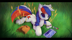 Size: 3160x1778 | Tagged: safe, artist:hitbass, oc, oc only, oc:marussia, earth pony, pony, cute, female, grass, mare, nation ponies, paint, paintbrush, ponified, russia, solo