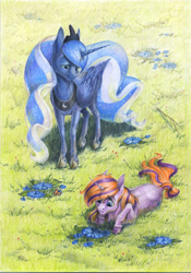 Size: 1024x1463 | Tagged: safe, artist:skyaircobra, princess luna, oc, alicorn, pony, unicorn, duo, grass