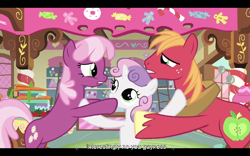 Size: 768x480 | Tagged: safe, screencap, big macintosh, cheerilee, sweetie belle, earth pony, pony, hearts and hooves day (episode), hearts and hooves day, male, meme, stallion, sugarcube corner, youtube caption