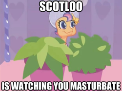 Size: 625x468 | Tagged: safe, scootaloo, g3.5, newborn cuties, grammar error, image macro