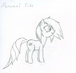 Size: 1804x1744 | Tagged: safe, artist:tyrellus, derpibooru import, oc, oc only, perennial tide, sketch