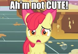 Size: 604x423 | Tagged: safe, apple bloom, earth pony, pony, accent, apple bloom's bow, blatant lies, bow, cute, denial's not just a river in egypt, female, filly, hair bow, hub logo, i'm not cute, image macro, impact font, telling lies