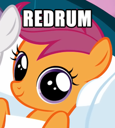 Size: 480x530 | Tagged: safe, scootaloo, image macro, looking at you, murder, one word, redrum, smiling, solo, the shining