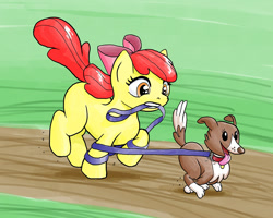 Size: 1000x800 | Tagged: safe, artist:muffinshire, apple bloom, winona, leash, tangled up