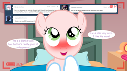 Size: 1280x720 | Tagged: safe, derpibooru import, sweetie belle, ask the crusaders, blushing, earth pony sweetie belle, sweetie bald, tumblr