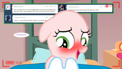 Size: 1280x720 | Tagged: safe, derpibooru import, sweetie belle, ask the crusaders, blushing, earth pony sweetie belle, floppy ears, sweetie bald, tumblr