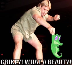 Size: 522x474 | Tagged: safe, gummy, alligator, human, crikey, crocodile hunter, irl, photo, ponies in real life, steve irwin