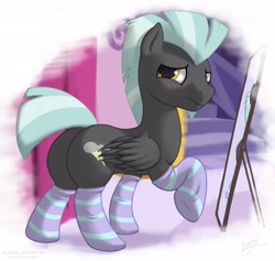 Size: 2500x2374 | Tagged: safe, artist:skipsy, derpibooru import, thunderlane, pegasus, pony, blushing, carousel boutique, clothes, high res, male, mirror, plot, socks, solo, stallion, striped socks, thunderbutt