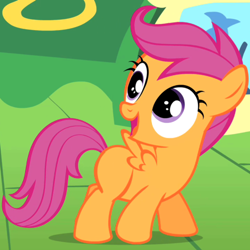 Size: 500x500 | Tagged: safe, derpibooru import, screencap, scootaloo, pegasus, pony, cropped, female, filly, foal, looking up, open mouth, solo