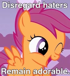 Size: 457x502 | Tagged: safe, derpibooru import, scootaloo, cute, cutealoo, disregard haters, happy, image macro, meme, open mouth, smiling, solo, wink