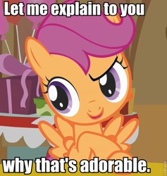 Size: 568x600 | Tagged: safe, derpibooru import, scootaloo, cute, cutealoo, image macro