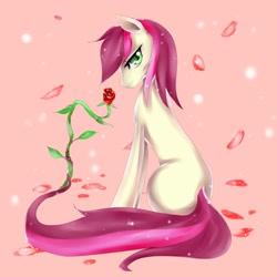 Size: 3000x3000 | Tagged: safe, artist:edahi, roseluck, flower, high res, rose, solo