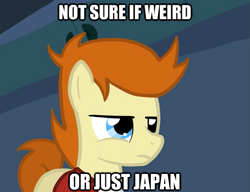 Size: 625x480 | Tagged: safe, artist:otterlore, futurama, image macro, philip j. fry, ponified