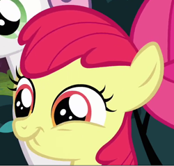 Size: 496x474 | Tagged: safe, screencap, apple bloom, hearts and hooves day (episode), hearts and hooves day, scrunchy face