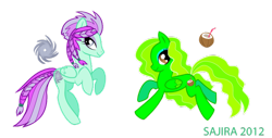 Size: 800x405 | Tagged: safe, artist:sambragg, oc, oc only, pegasus, pony, commission, niu, official content, psyklone, t shirt design