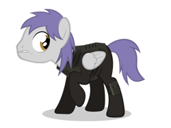 Size: 1024x768 | Tagged: safe, artist:misteraibo, oc, oc only, oc:sky raider, pegasus, pony, fallout equestria, male, simple background, sky raider, solo, transparent background, vector