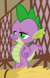 Size: 273x418 | Tagged: safe, derpibooru import, screencap, spike, dragon, the cutie pox, cropped, hand on hip, lidded eyes, male, raised eyebrow, smug, solo