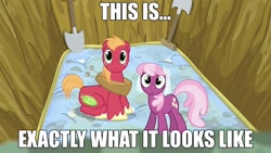 Size: 960x540 | Tagged: safe, derpibooru import, edit, edited screencap, screencap, big macintosh, cheerilee, earth pony, pony, hearts and hooves day (episode), caption, clothes, dress, female, hearts and hooves day, image macro, implied sex, innuendo, male, mare, mattress, shovel, stallion, veil, wedding dress