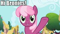 Size: 960x540 | Tagged: safe, derpibooru import, screencap, cheerilee, brony, bronybait, fourth wall, image macro, ponyville, smiling, waving