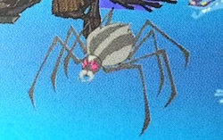 Size: 506x318 | Tagged: safe, spider, read it and weep, animal, blue background, photo, simple background, solo focus, spindle