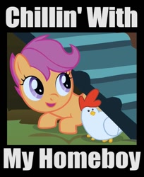 Size: 523x640 | Tagged: safe, derpibooru import, edit, edited screencap, screencap, scootaloo, bird, chicken, pegasus, pony, stare master, cropped, cucco, female, filly, image macro, scootachicken