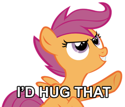 Size: 500x428 | Tagged: safe, derpibooru import, scootaloo, pegasus, female, filly, hug, image macro, orange coat, purple mane, solo