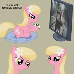 Size: 850x850 | Tagged: safe, artist:why485, lily, lily valley, earth pony, pony