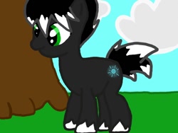 Size: 640x480 | Tagged: safe, oc, oc only, earth pony, pony, cloud, grass, sky, solo, tree