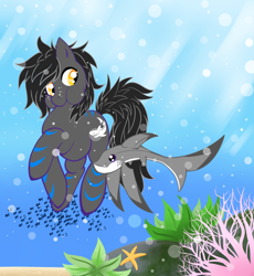 Size: 900x978 | Tagged: artist needed, safe, derpibooru import, oc, oc only, shark, underwater