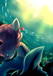 Size: 495x700 | Tagged: safe, artist:bakki, oc, oc only, sea pony, underwater