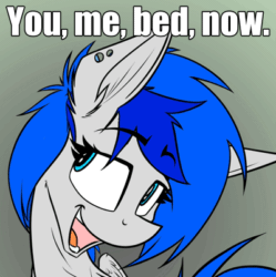Size: 400x401 | Tagged: safe, artist:ralek, oc, oc only, oc:sapphire sights, pegasus, pony, fallout equestria, animated, bed, bedroom eyes, bust, caption, cute, eyebrow wiggle, eyebrows, female, implied sex, mare, open mouth, portrait, solo, you. me. x. now.