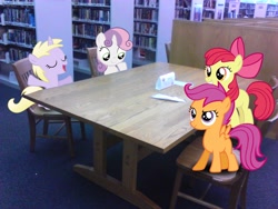 Size: 2048x1536 | Tagged: safe, artist:tokkazutara1164, apple bloom, dinky hooves, scootaloo, sweetie belle, pony, cutie mark crusaders, irl, library, photo, ponies in real life, school, vector