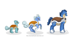 Size: 1280x789 | Tagged: safe, artist:almairis, derpibooru import, blastoise, crossover, evolution chart, family, female, foal, male, mare, pokémon, ponymon, shell, simple background, socks (coat marking), squirtle, stallion, transparent background, trio, wartortle