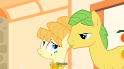 Size: 640x355 | Tagged: safe, derpibooru import, screencap, aunt orange, uncle orange, earth pony, pony, the cutie mark chronicles, female, korean, male, mare, stallion, youtube caption