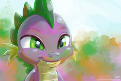 Size: 1200x800 | Tagged: safe, artist:kp-shadowsquirrel, derpibooru import, spike, dragon, male, simple background, solo