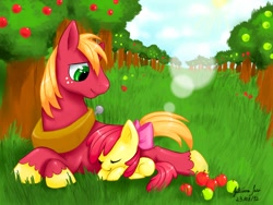 Size: 1200x900 | Tagged: safe, artist:juaiasi, apple bloom, big macintosh, earth pony, pony, apple, male, sleeping, stallion