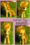 Size: 900x1316 | Tagged: safe, artist:merriweather-flight, derpibooru import, carrot top, golden harvest, pony, brushable, custom, irl, photo, toy