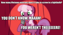 Size: 960x540 | Tagged: safe, derpibooru import, cheerilee, earth pony, pony, cheerilee pun, curtain, exploitable meme, female, green eyes, image macro, joke, lightbulb, mare, meme, microphone, open mouth, smiling, solo, spotlight, stand-up comedy, text, two toned mane, two toned tail, vietnam, vietnam war