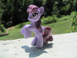 Size: 640x480 | Tagged: safe, artist:dudewheresmylion, derpibooru import, berry punch, berryshine, pony, custom, irl, photo, toy