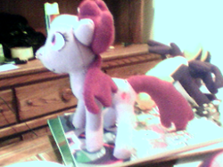 Size: 320x240 | Tagged: safe, artist:fungal-zombie, derpibooru import, berry punch, berryshine, irl, photo, plushie, small